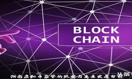 
湖南虚拟币监管的现状与未来发展分析