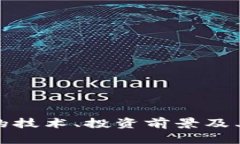 深入解析Chiva虚拟币：背后的技术、投资前景及其