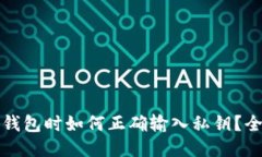 TP导入钱包时如何正确输入私钥？全面指南