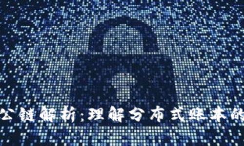 : TP钱包公链解析：理解分布式账本的核心价值