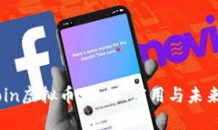 Flycoin虚拟币：了解、应用与未来发展