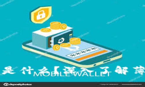 TP钱包里的薄饼是什么？深入了解薄饼的定义与应用