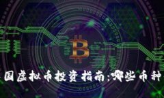 2023年中国虚拟币投资指南：哪些币种值得关注？