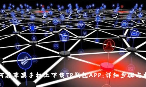 如何在苹果手机上下载TP钱包APP：详细步骤与指南