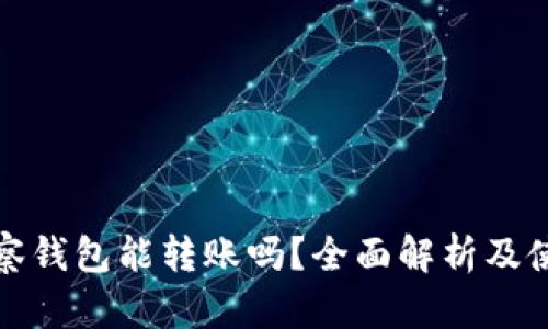 : TP观察钱包能转账吗？全面解析及使用指南