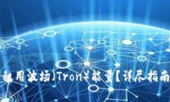 如何在TP钱包上租用波场（Tron）能量？详尽指南