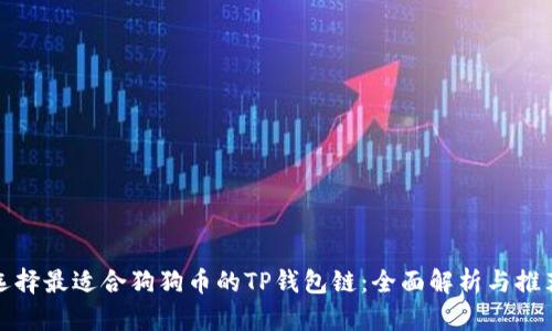 选择最适合狗狗币的TP钱包链：全面解析与推荐